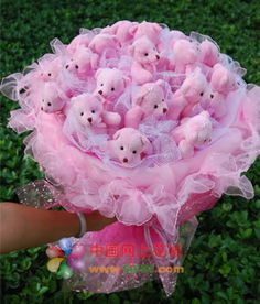 粉色熊寶寶 鮮花速遞請選中國網(wǎng)上花城