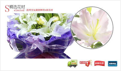 廣島網(wǎng)上花店 商品內(nèi)容 白色多頭百合9枝 黃色康乃馨6枝 綠葉 黃英間插 商品包裝 紫色綿紙內(nèi)襯,紫色卷邊紙圓形精美包裝,外圍一層紫色網(wǎng)紗 一圈紫色絲帶