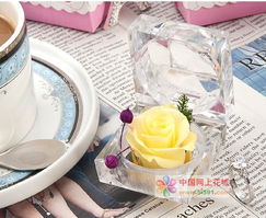 靜樂網(wǎng)上花店 商品內(nèi)容 用途 愛情 生日 祝福 道歉 婚慶 其它 求婚 周年紀(jì)念 情人節(jié) 圣誕節(jié) 春節(jié) 元旦 3.8婦女節(jié) 母親節(jié) 感恩節(jié)