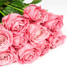 【昆明花店鮮花】昆明花店鮮花價格/圖片_昆明花店鮮花批發/采購_昆明花店鮮花廠家/供應商