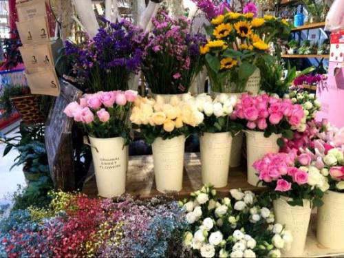 花店常見玫瑰花種類及圖片