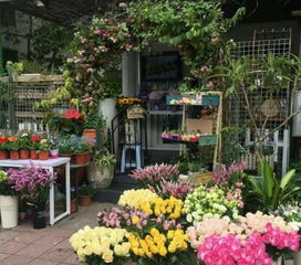 情人快到了,要送花 要表白的東莞人一定要知道這幾家花店