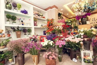 七夕快到了 沒束花還想約我過節 盤點保定最美的花店