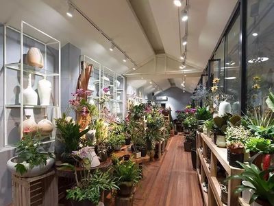 她央美畢業,開了間300㎡花店"廢物利用"改造爛木頭,把最美好的東西留給了自然_文化_網