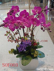 致藝軒花店提供喜慶花籃 鮮花花束 結(jié)婚花球等產(chǎn)品