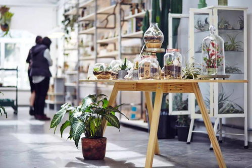 開一間花店,做一個(gè)愜意的老板娘