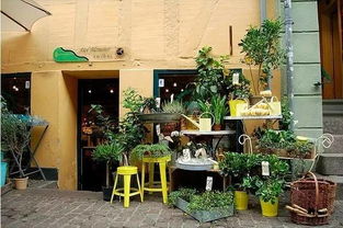 花店,城市中離大自然最近的地方