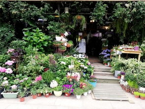 揚城 無人花店 十多年無失竊