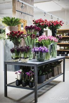 除了開花店,花藝師不容錯過的高逼格的職業【1】-新聞頻道-手機