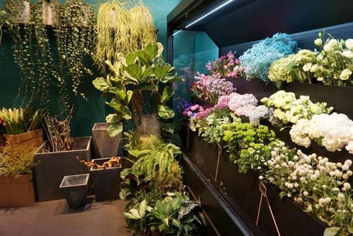 從朝九晚五到新概念花店,機會只眷顧有準備的人