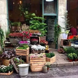 開家花店,享受慢生活