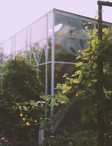 帝都最美花店地圖