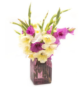 【鮮花廣州花店】鮮花廣州花店價格/圖片_鮮花廣州花店批發/采購_鮮花廣州花店廠家/供應商