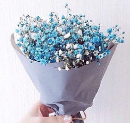 廣島網上花店 商品內容 藍色滿天星花束 淡紫色包裝紙