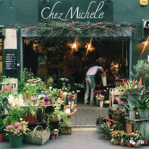 開一間花店,治愈人生