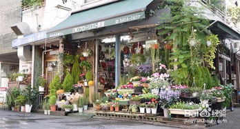 花店怎么裝修設計