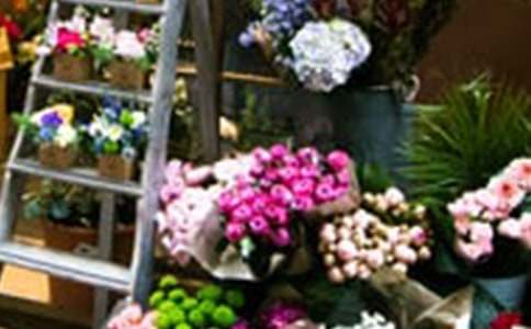 花店項目策劃書