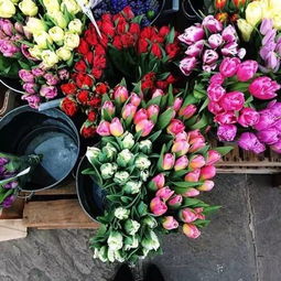 我有一個小夢想,開間自己的小花店