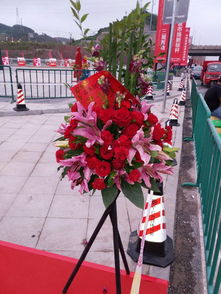 圖 重慶彭水鮮花店出售發財樹開業植物鮮花速遞服務好 重慶鮮花綠植