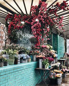 【場景】小場景 近中景 室內 街道