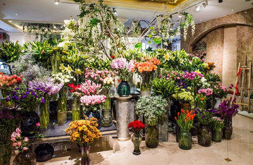 潮州廣濟橋高清圖