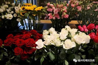 福州萬圣節(jié)攻略 推薦12個(gè)好玩的地方