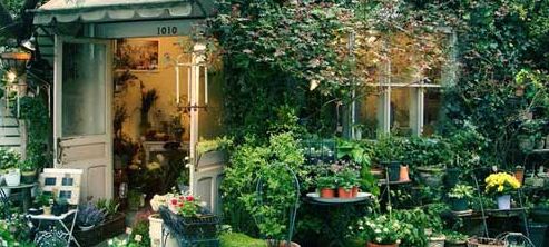 王順杰 花店經營技巧 花店如何玩轉跨界營銷,讓用戶輕松消費你的跨界產品