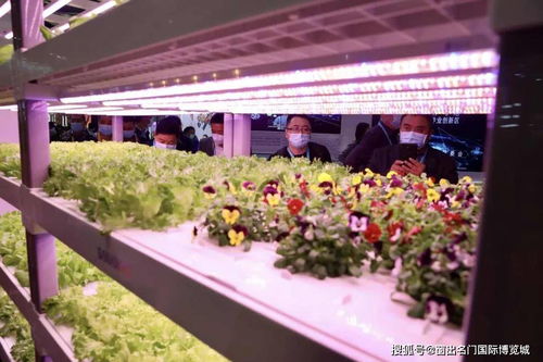 走進(jìn)進(jìn)博 當(dāng)我們談 綠色 時(shí),我們談些什么