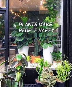 這6家花店,一家比一家美