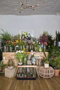 適不適合開花店,看這幾點(diǎn)就夠了