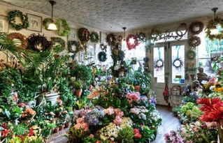 花店盟費(fèi)是多少錢 總投資11.09萬元 加盟費(fèi)查詢網(wǎng)