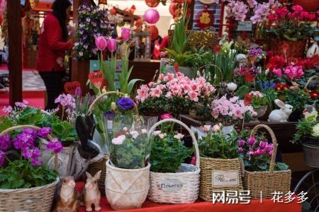 花店經(jīng)營之道 如何讓生意綻放光彩