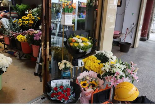 清明臨近麗江菊花熱銷，文明祭祀蔚然成風(fēng)