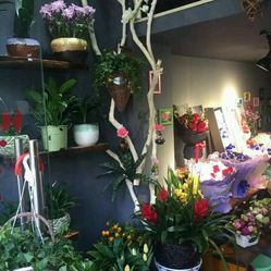 海上花開鮮花店 聯(lián)系方式、地址、價(jià)格與營業(yè)時(shí)間詳情