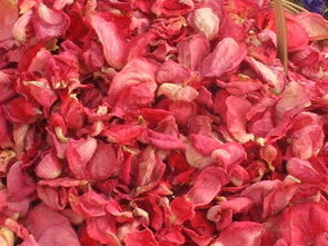 鮮花與干花瓣之美 昆明春都花卉貿(mào)易代理機(jī)構(gòu)與花店的服務(wù)探索