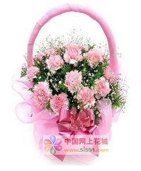 粉色康乃馨花籃——呼和浩特網(wǎng)上花店精選