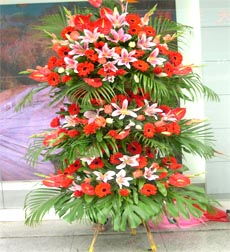 上海徐匯區(qū)專業(yè)鮮花速遞服務(wù)指南