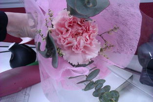 滿天星 花店中不可或缺的香氛配草