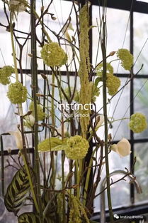 架構花藝 打造既好玩又好賣的商業花店產品