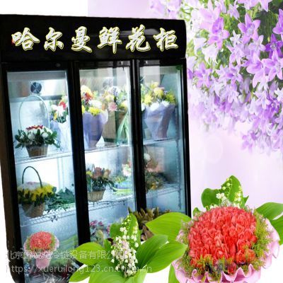 花店保鮮柜選購指南 價格、廠家與實用功能解析