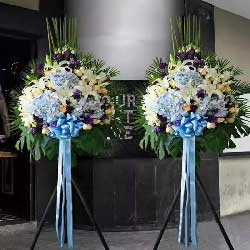 貴陽云巖區花店 繁華都市中的自然芬芳