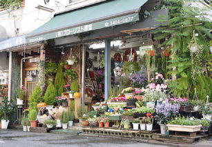 這5個小本生意輕松月入萬元，還要繼續打工嗎？花店篇