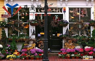 合肥花店裝修 亞蘭裝飾，打造你的秘密花園，讓浪漫滿屋