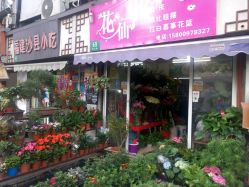 友生公司酒店用品附近花店 中華路567號6樓b座的花香天堂