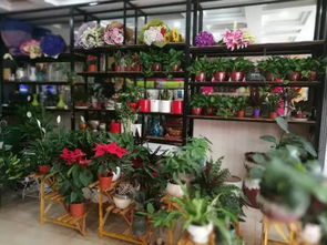 VR夢幻體驗館攜手儷緣花店 雙倍驚喜，五折狂歡