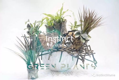 架構花藝觸手可及 零基礎打造熱銷商業花店架構產品的三月進階指南