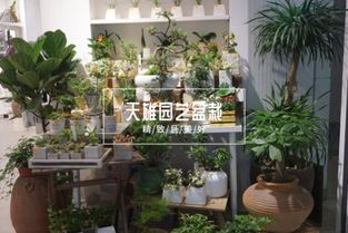 精致浪漫的天雄花店 城市中的詩意花房