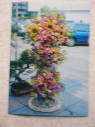 藝之尚鮮花店 用藝術與芬芳點綴生活的詩意空間